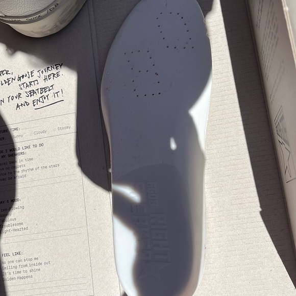 Hi-Star Golden Goose - Picture 11 of 12